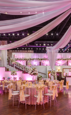 Paradise Package Left Picture