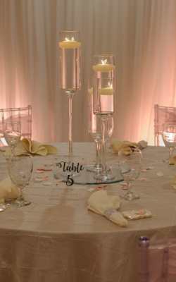 Quinceanera Decorations Houston Tx